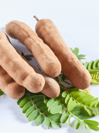 Tamarind